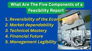 What Are The Five Components of a Feasibility Report