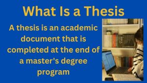 What Is a Thesis
