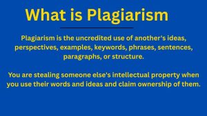 What is plagiarism