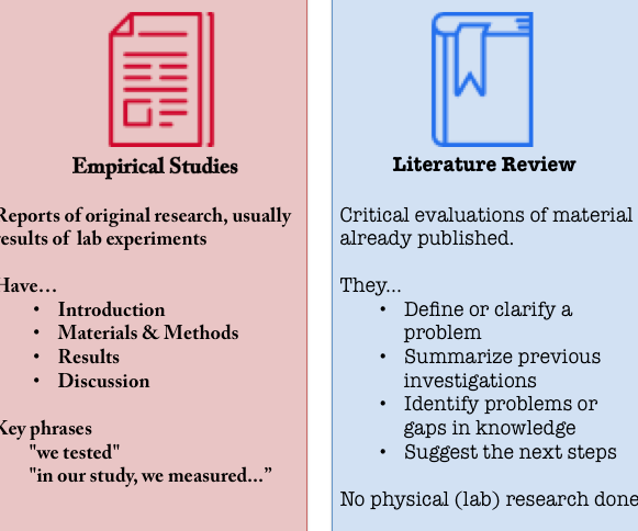 difference between a literature review and an introduction