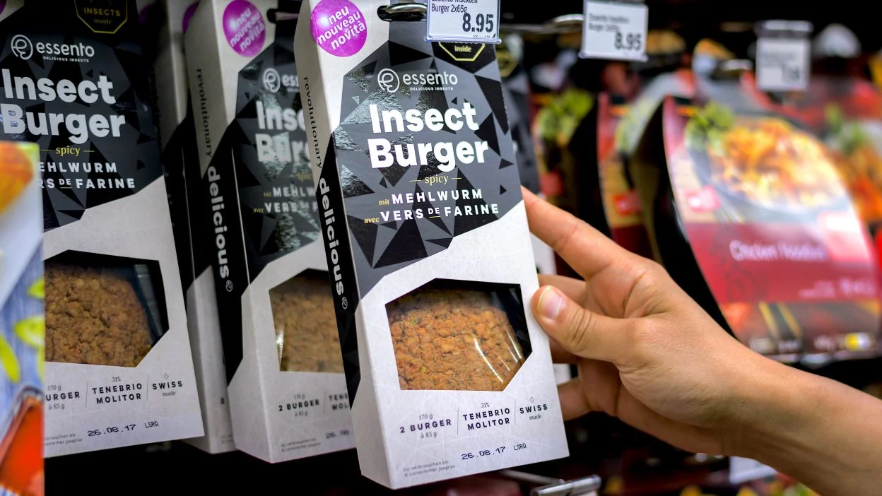 Edible Insects: What Are They Not Telling Us 3 Edible Insects cricket Why you won't need to eat insects to save the planet