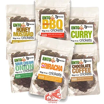 Edible Insects cricket