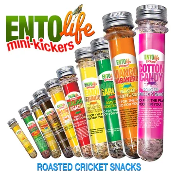 Edible Insects: What Are They Not Telling Us 2 Edible Insects cricket snack