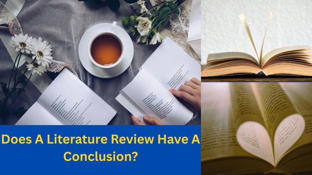 Does a Literature Review Have a Conclusion