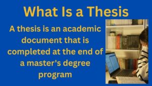 What Is a Thesis