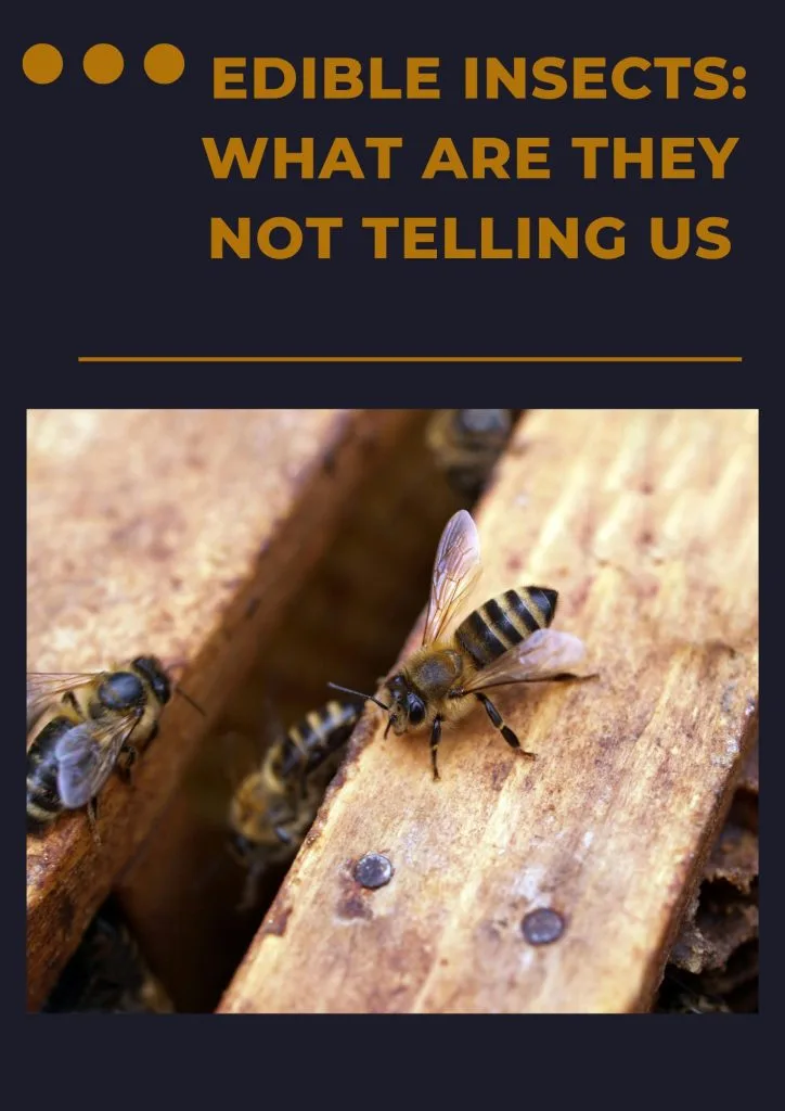 Edible Insects: What Are They Not Telling Us